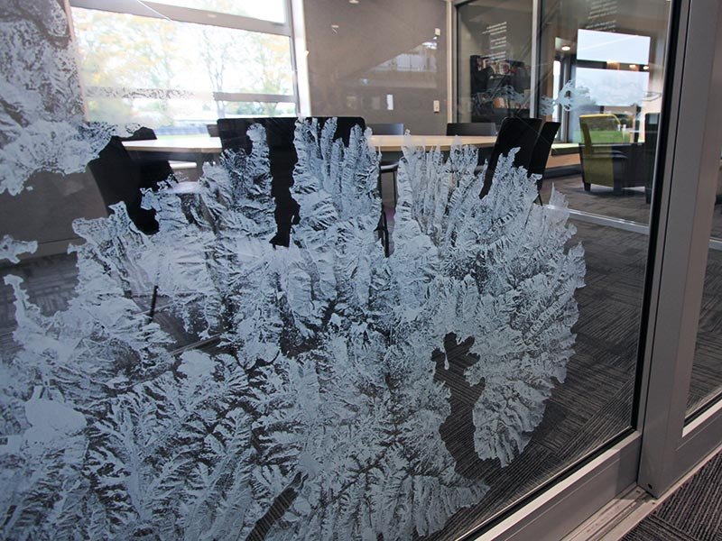 vitrophanie,signalétique,décoration,aménagement,professionnel,signova