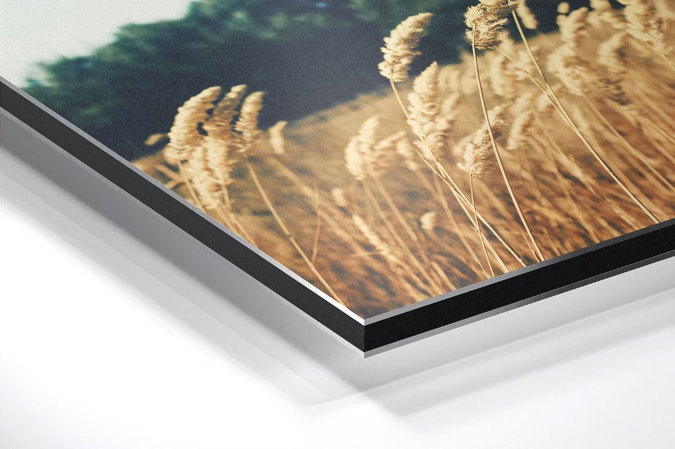 décoration,luxembourg,espace,aménagement